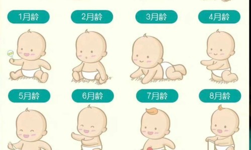 三肾丸有副作用吗网 - 为你提供三肾丸效果明显吗、三肾丸有副作用吗可以经常吃吗
