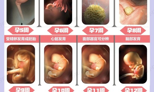 三肾丸有副作用吗网 - 为你提供三肾丸效果明显吗、三肾丸有副作用吗可以经常吃吗